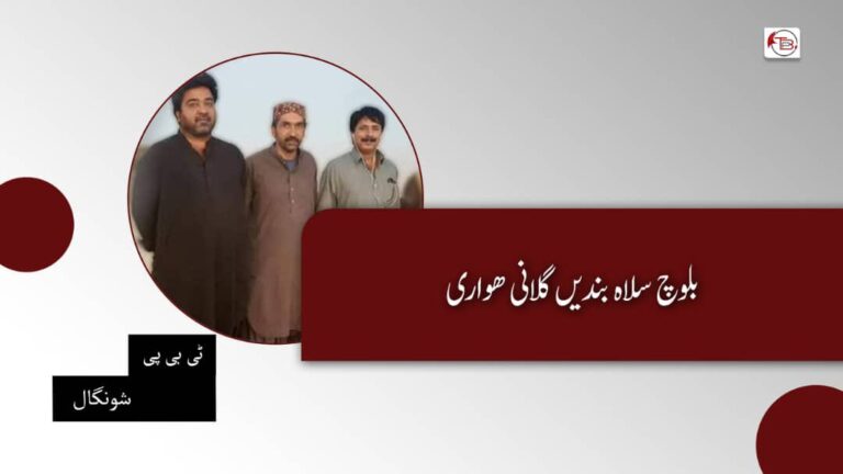 بلوچ سلاہ بندیں گلانی ھواری – ٹی بی پی شونگال