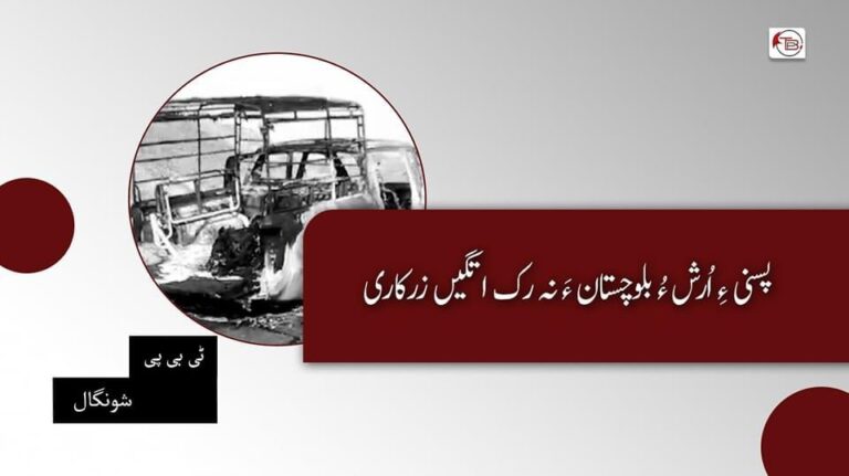 پسنی ءِ اُرش ءُ بلوچستان ءَ نہ رک اتگیں زرکاری — ٹی بی پی شونگال