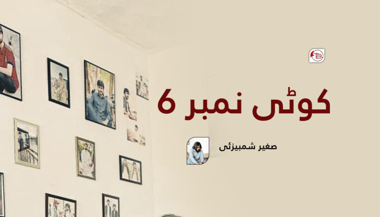 کوٹی نمبر 6 -صغیر شمبیزئی
