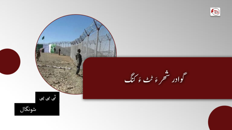 گوادر شھر ءَ ٹٹ ءَ کنگ – ٹی بی پی شونگال