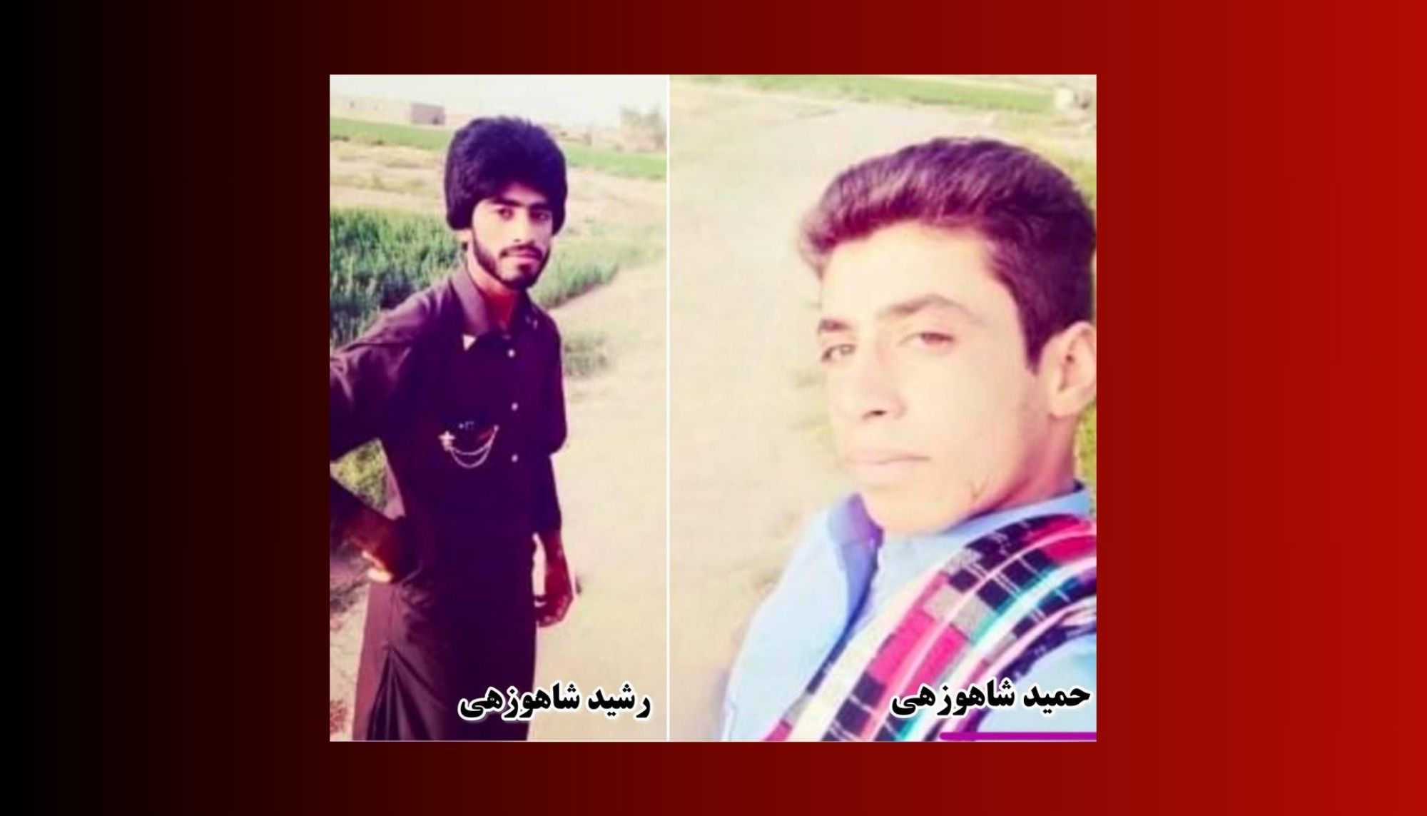 تپتان ءَ دگہ دو مردم بیگواہ، گوستگیں روچ ءَ گرگ بیتگیں زالبول یل بیتگ انت