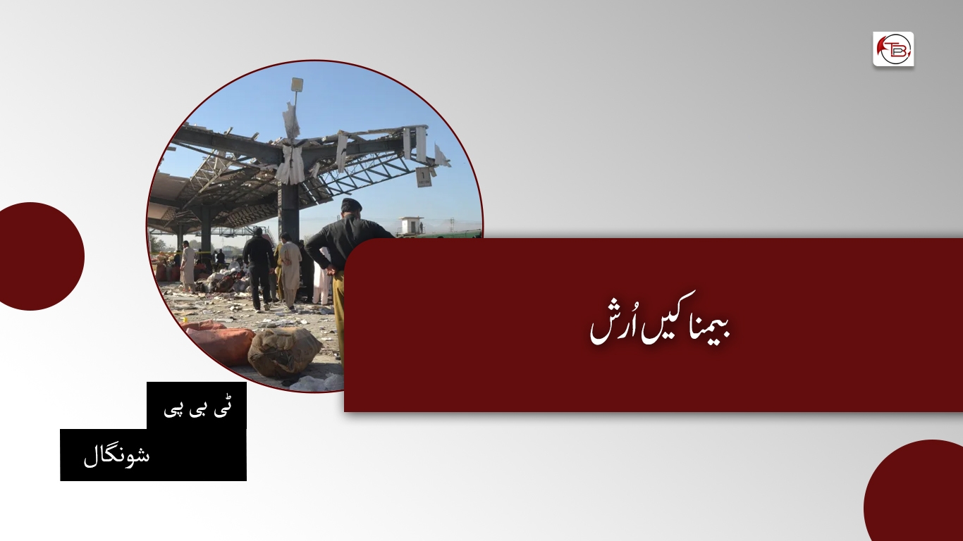 بیمناکیں اُرش- ٹی بی پی شونگال