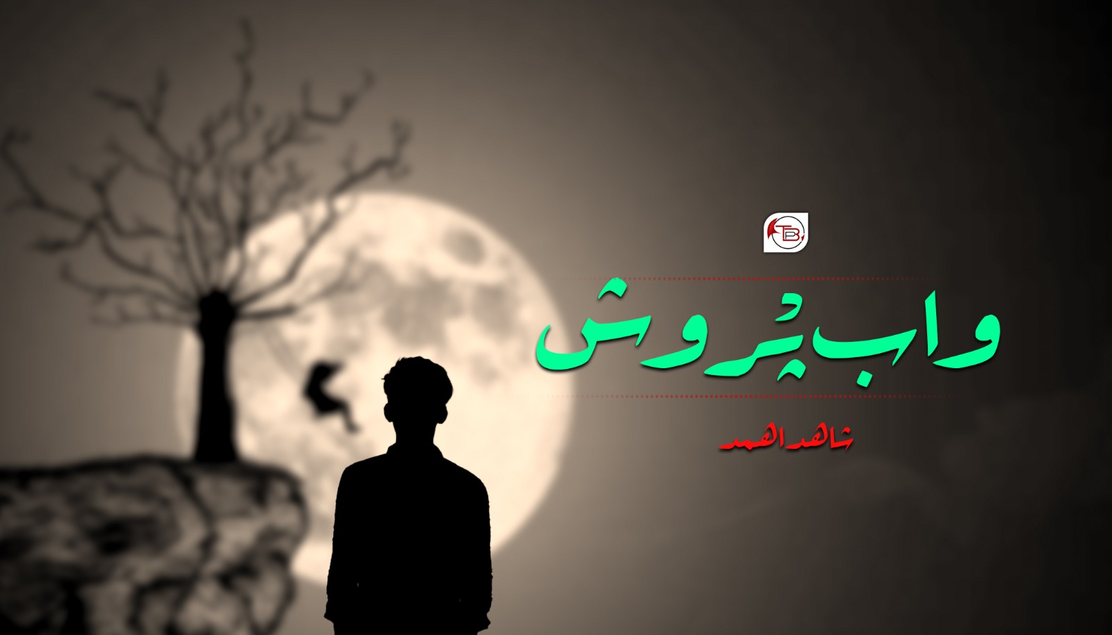 واب پْروش-شاھد اھمد