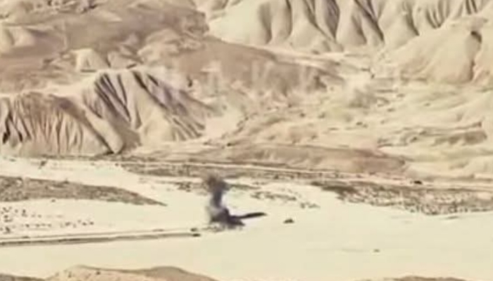 بی ایل اے ءَ مارگٹ اُرش ءِ تامُر شنگ کُتگ