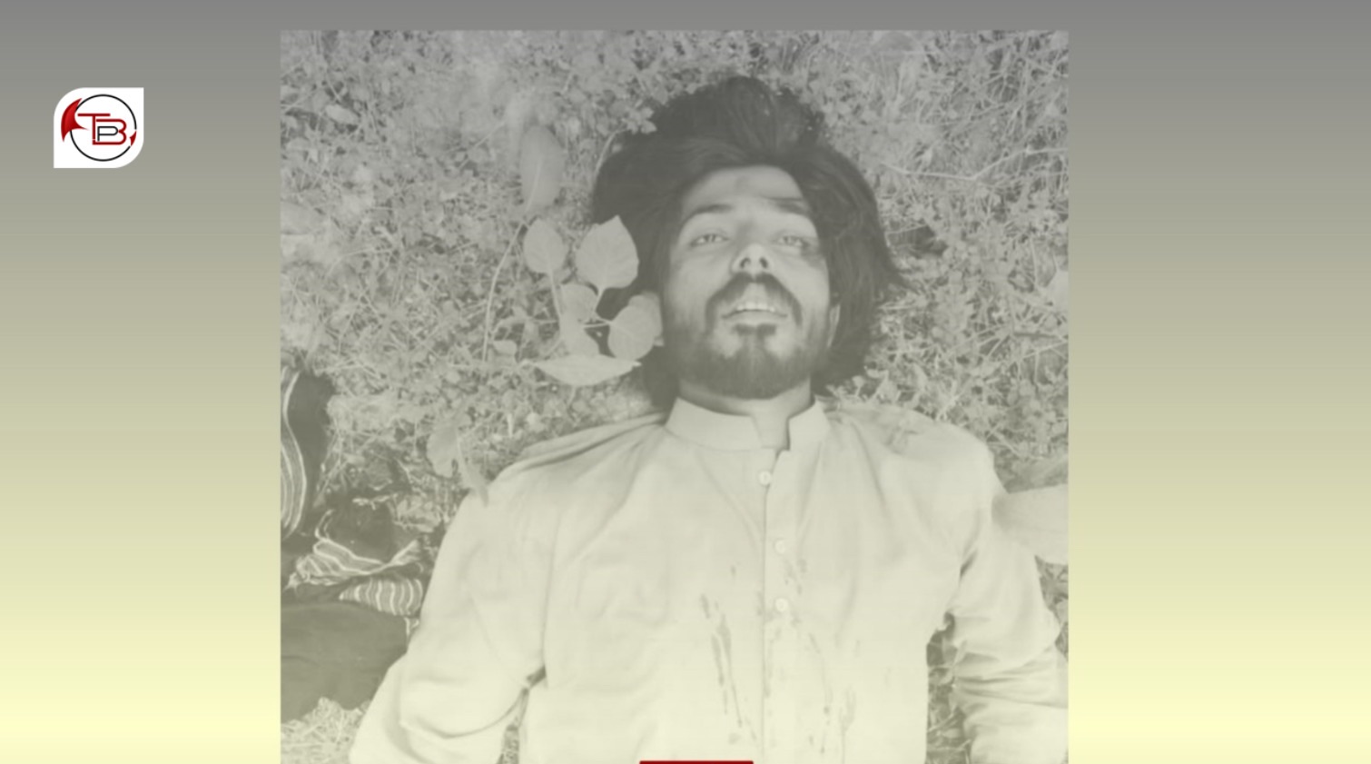 چہ قلات ءَ پاکستانی لشکر ءِ تیرگواری ءَ یک ورنایے بیران، جون چہ باگ ءَ دزکپتگ