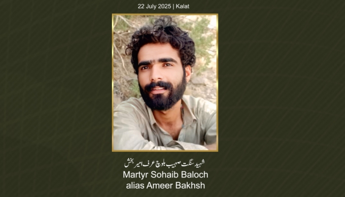زورگریں پاکستانی پوج ءِ نھ کارمَنْد کشتگ انت ، سنگت سھیب نمیران بوتگ ۔ بی ایل اے