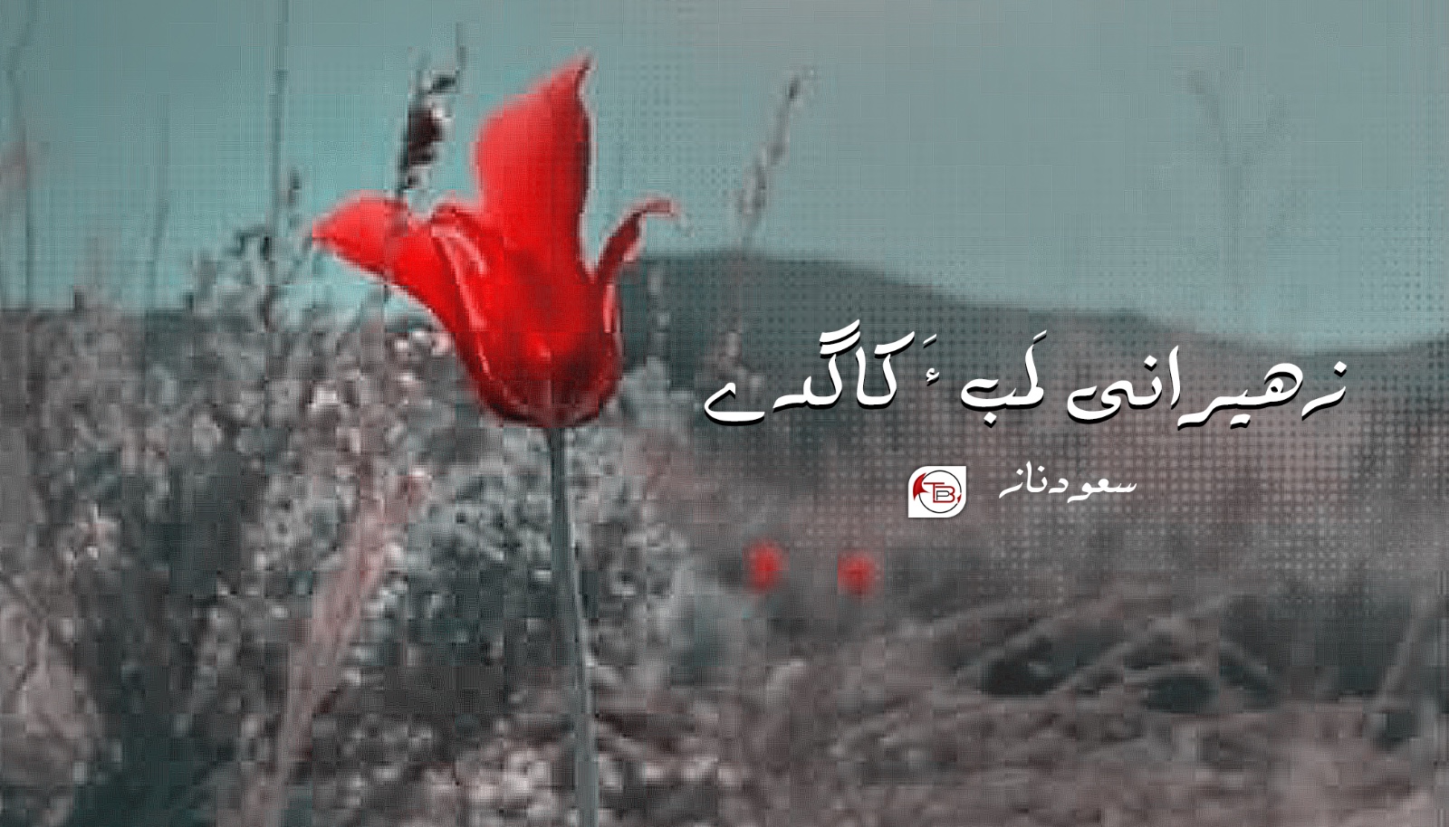 زھیرانی لَمب ءَ کاگدے – سعود ناز