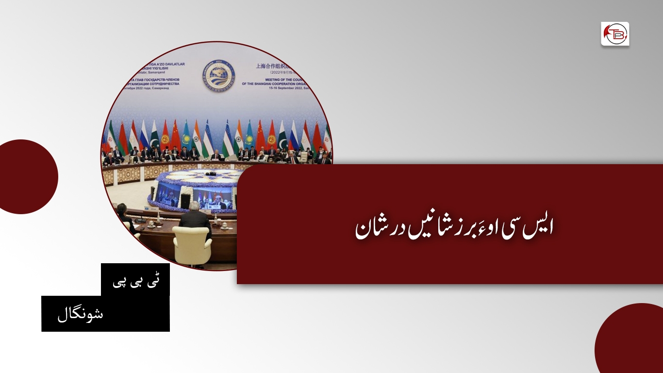 ایس سی او ءَ برزشانیں درشان- ٹی بی پی شونگال