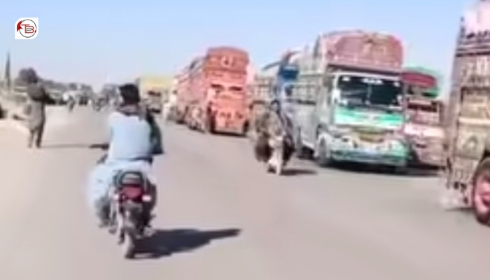 ھزدار: آوار جنی ءِ ھلاپ ءَ زھرشانی، شال کراچی شھدگ بند