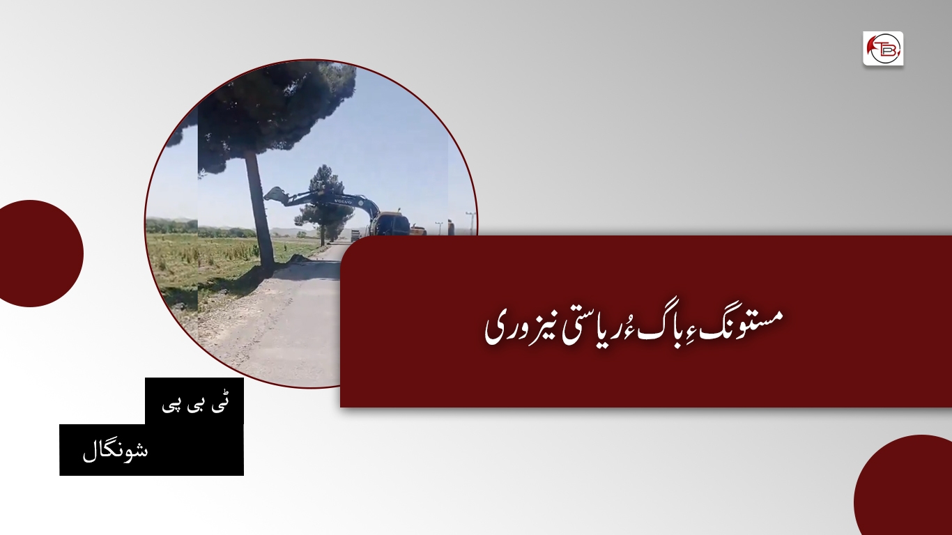 مستونگ ءِ باگ ءُ ریاستی نیزوری- ٹی بی پی شونگال